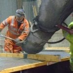 Concrete Installation in to Mould